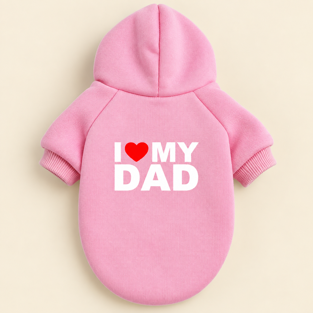 The Statement Hoodie