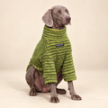 The Cozy Texture Turtleneck