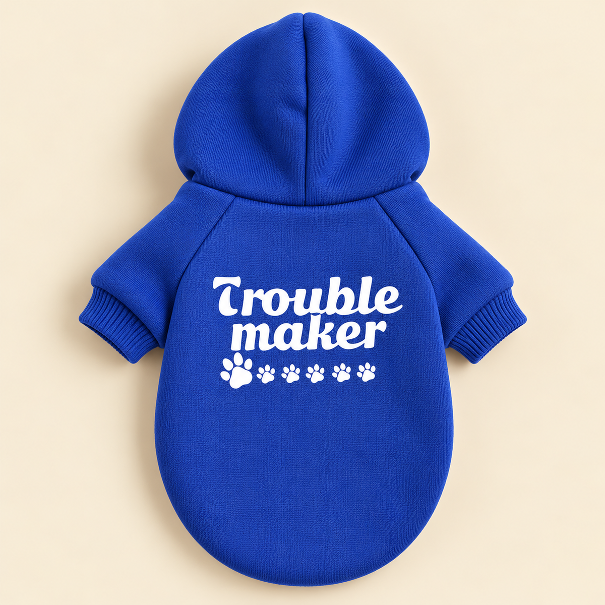 The Statement Hoodie