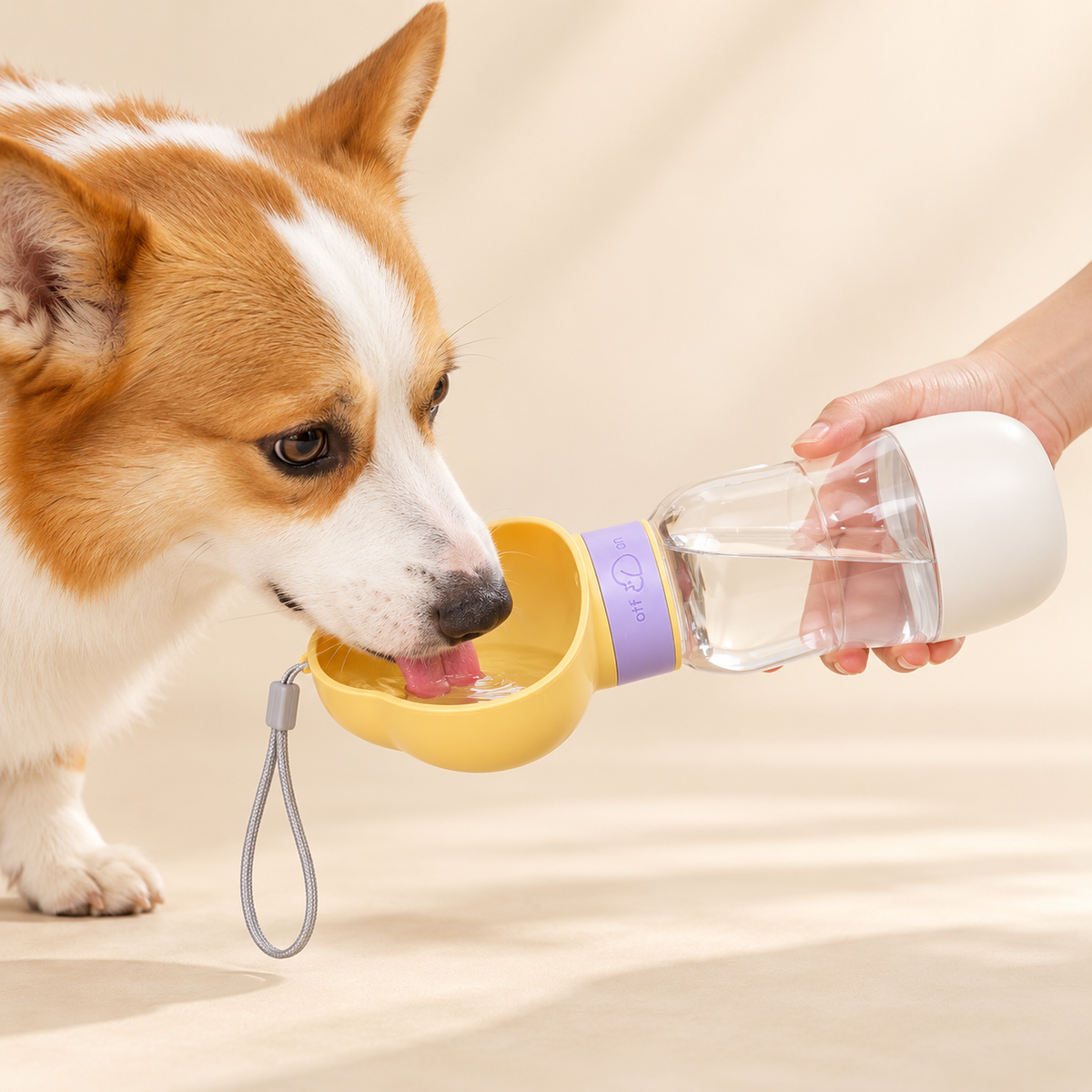The Adventure Sip 2-in-1 Pet Water Bottle