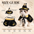 Halloween Wizard Pet Costume