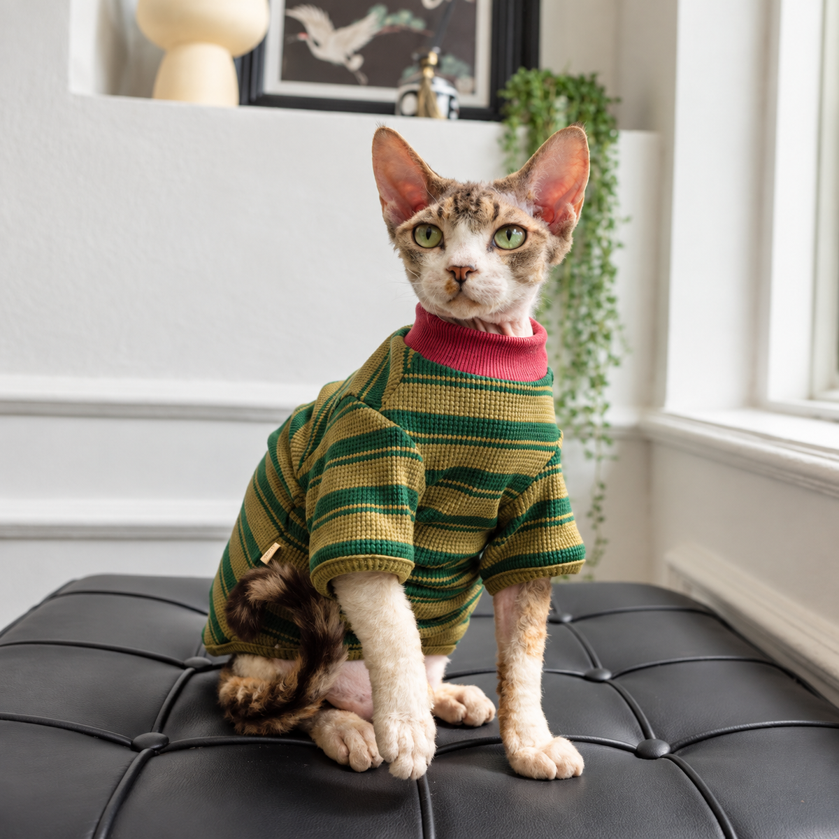 The Retro Stripe Knit Shirt