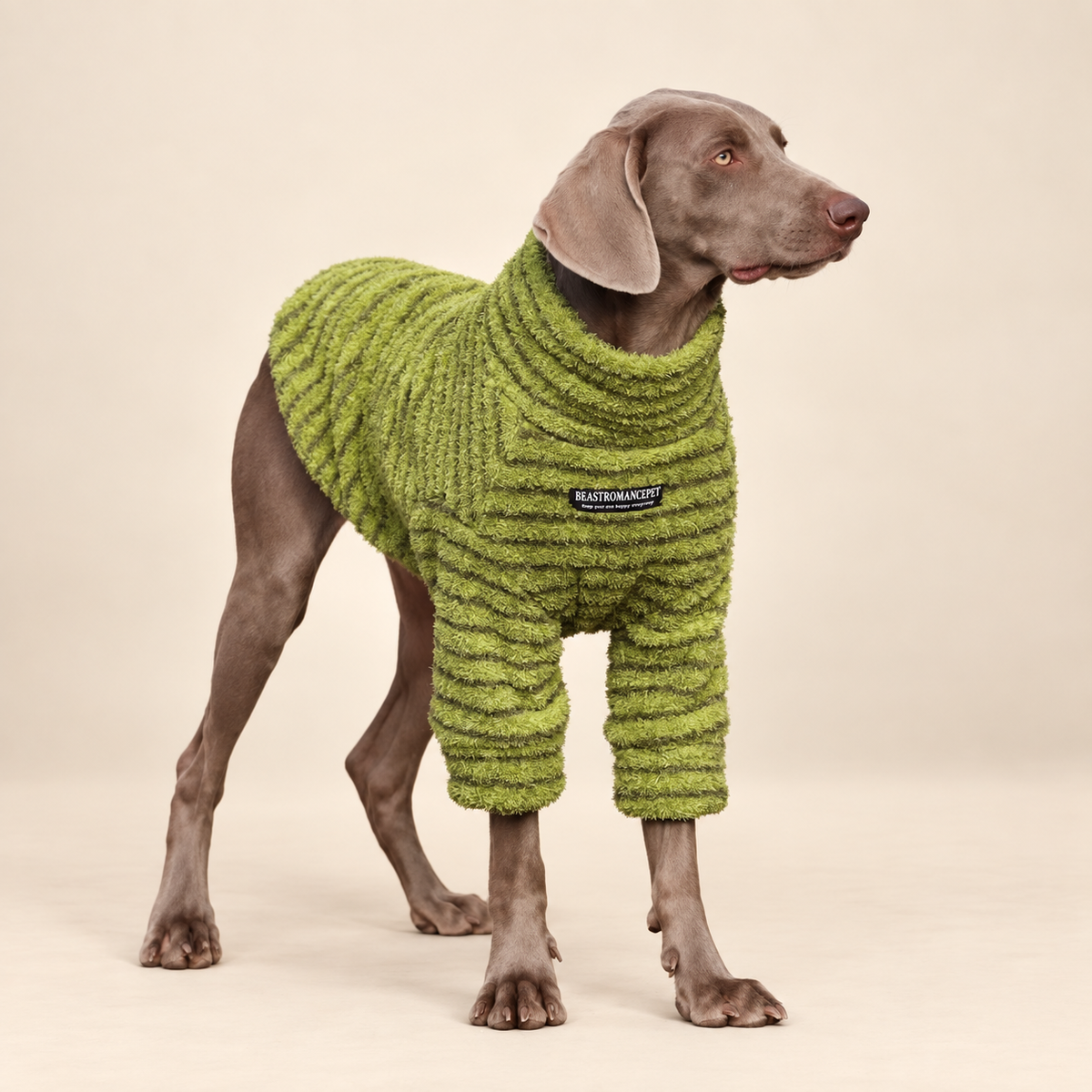 The Cozy Texture Turtleneck
