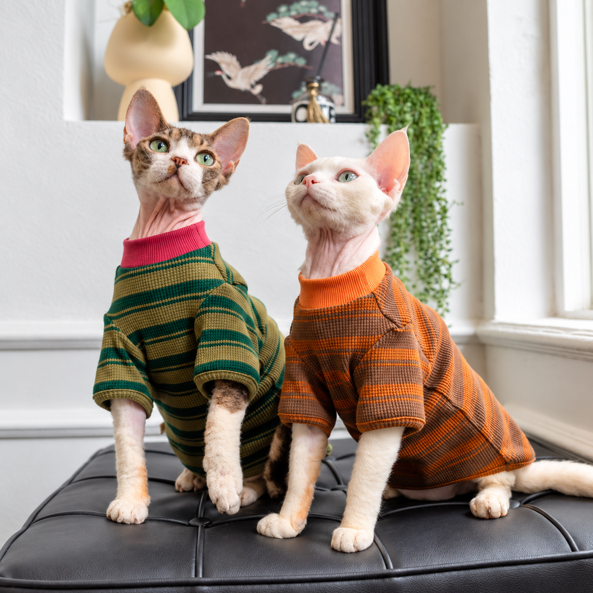 The Retro Stripe Knit Shirt