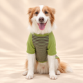 Retro Striped Dog T-Shirt