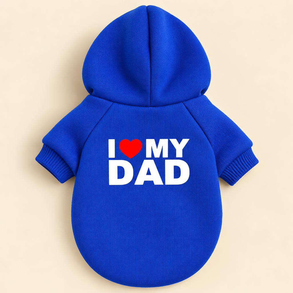 The Statement Hoodie