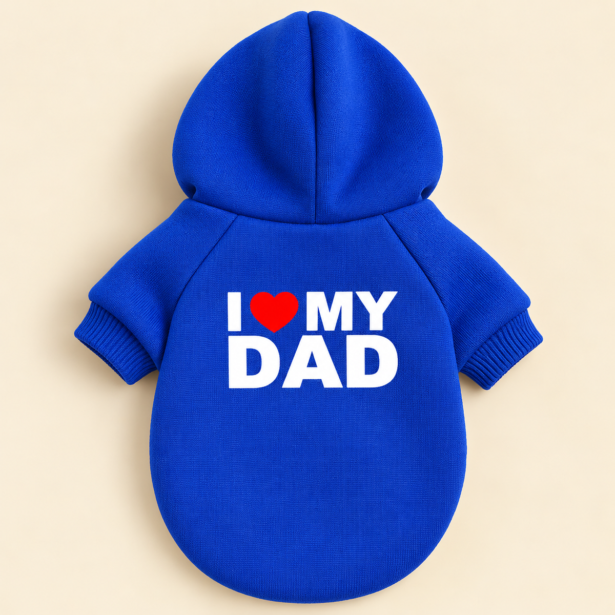 The Statement Hoodie