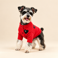 Sweetheart Knit Dog Cardigan