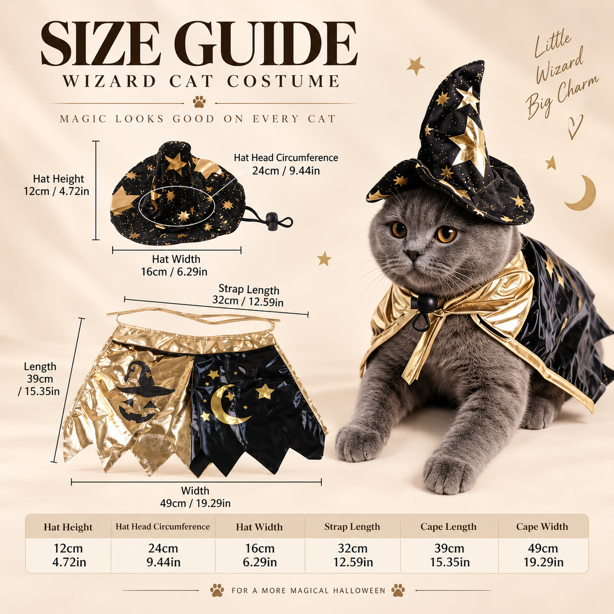 Halloween Wizard Pet Costume