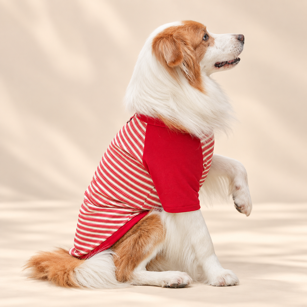 Retro Striped Dog T-Shirt