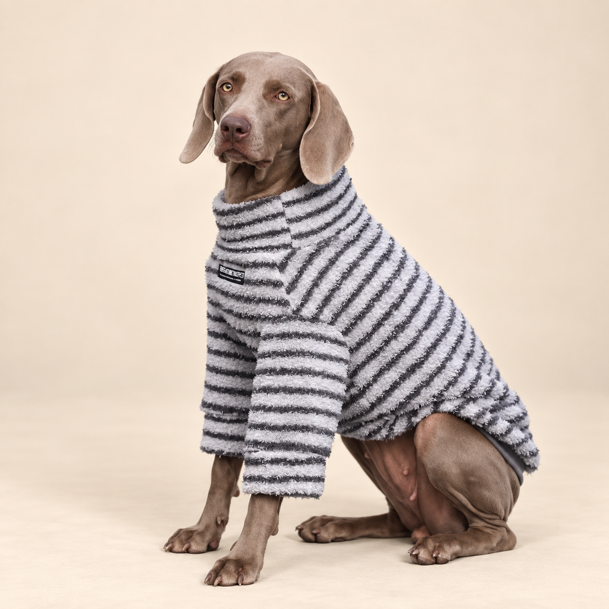 The Cozy Texture Turtleneck