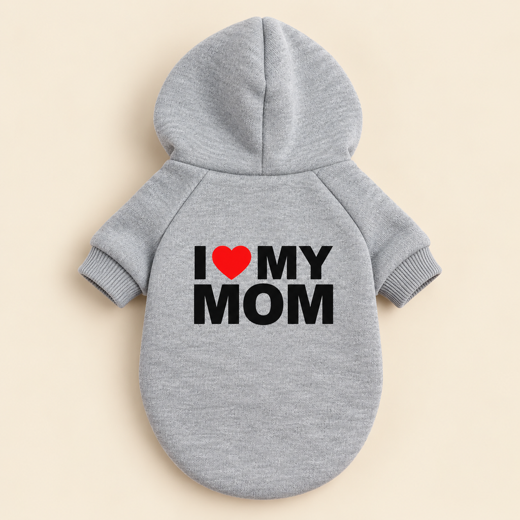 The Statement Hoodie