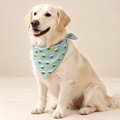 The Everyday Print Bandana