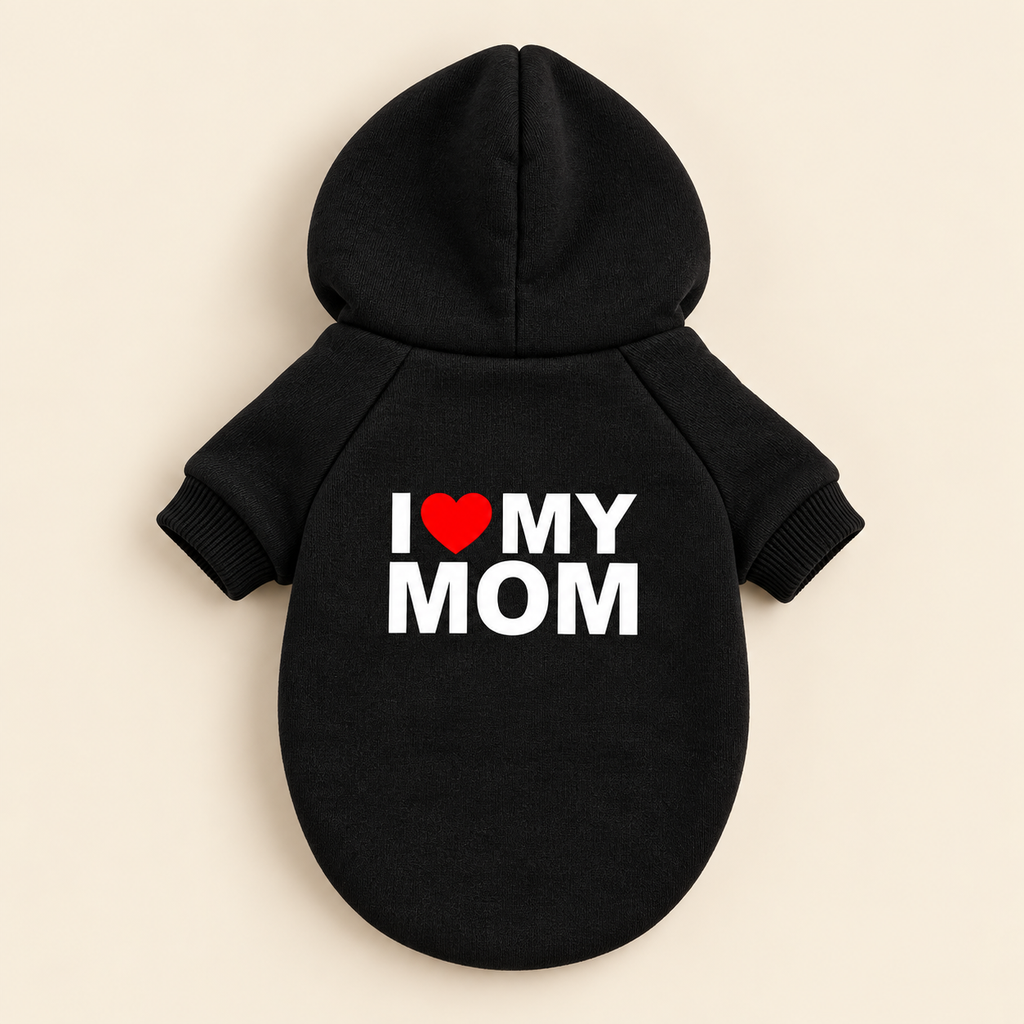 The Statement Hoodie