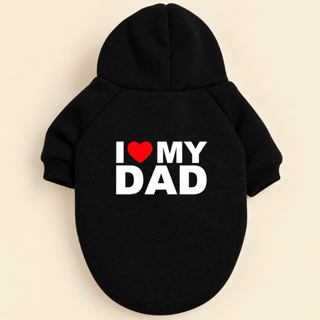 The Statement Hoodie