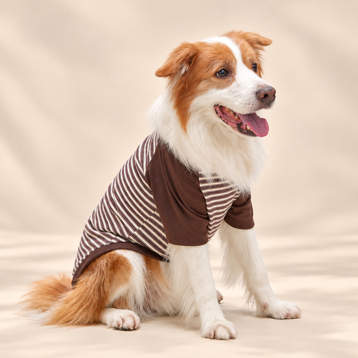 Retro Striped Dog T-Shirt