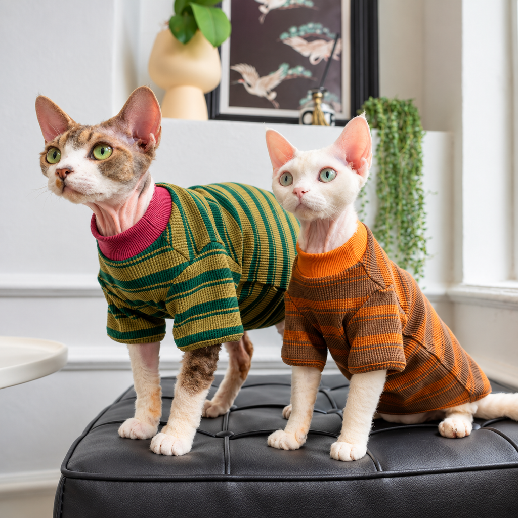The Retro Stripe Knit Shirt