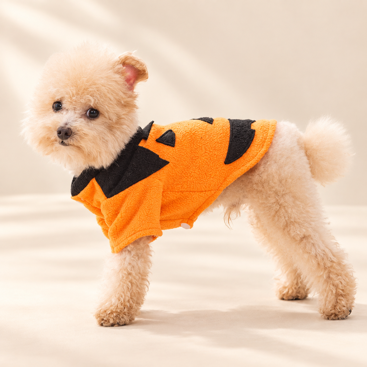 Halloween Pumpkin Pet Costume – Cozy Jack-O’-Lantern Outfit