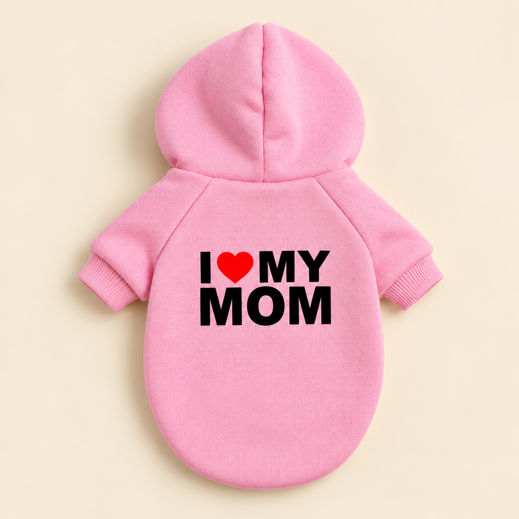 The Statement Hoodie