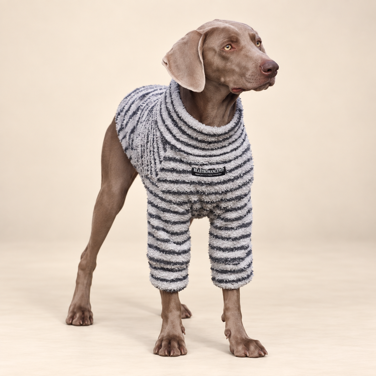 The Cozy Texture Turtleneck