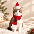 The Merry Christmas Hat & Scarf Set