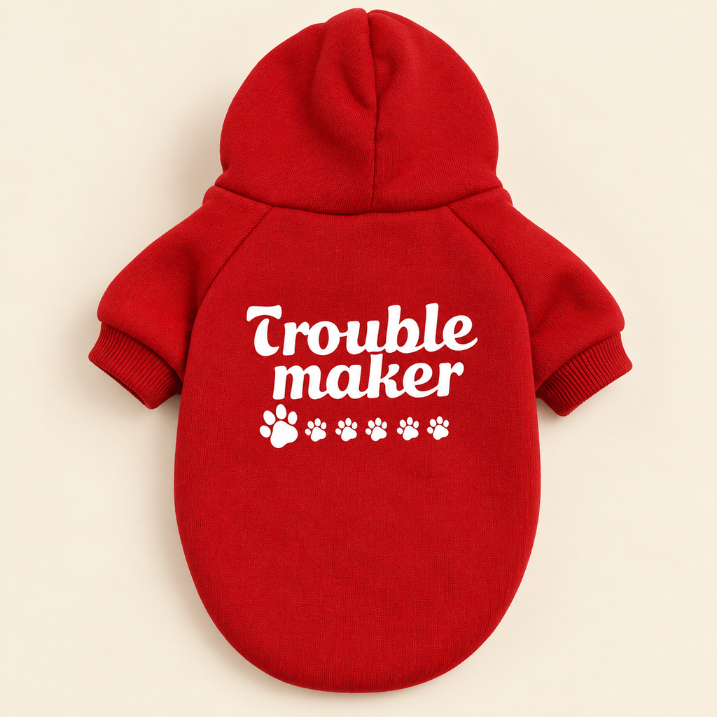The Statement Hoodie