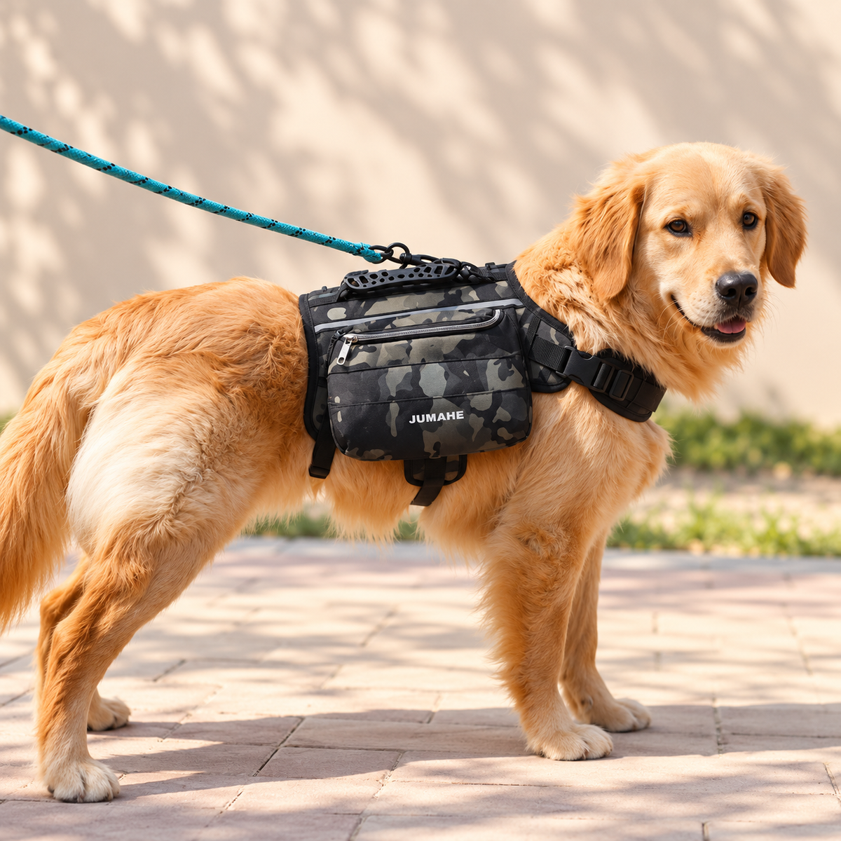 Outdoor Adventure Dog Saddle Bag Harness