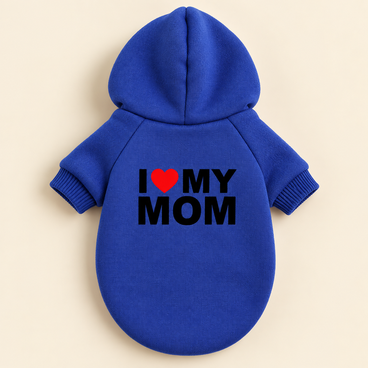 The Statement Hoodie