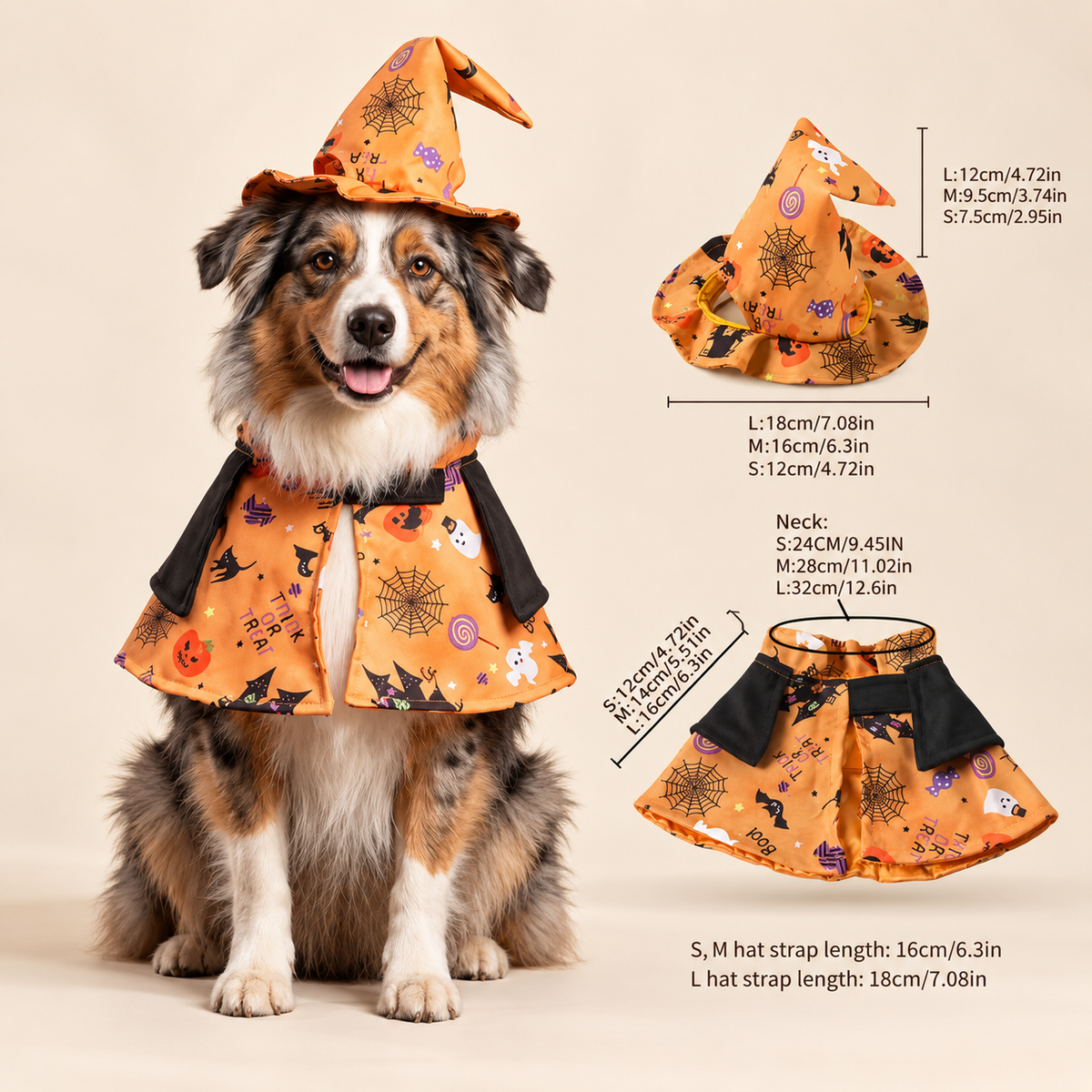 Halloween Wizard Pet Costume