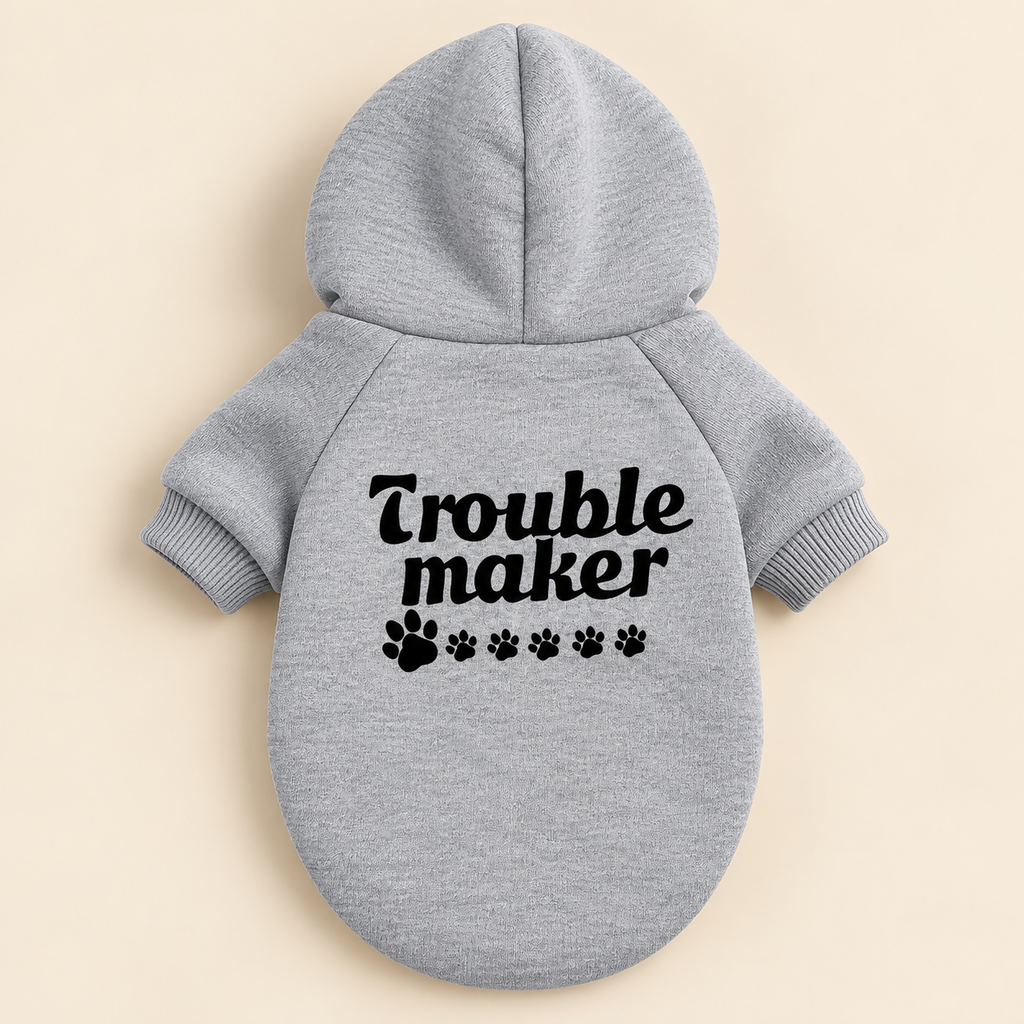 The Statement Hoodie