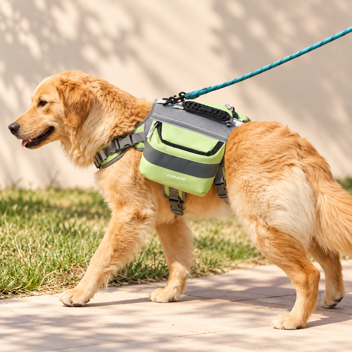 Outdoor Adventure Dog Saddle Bag Harness