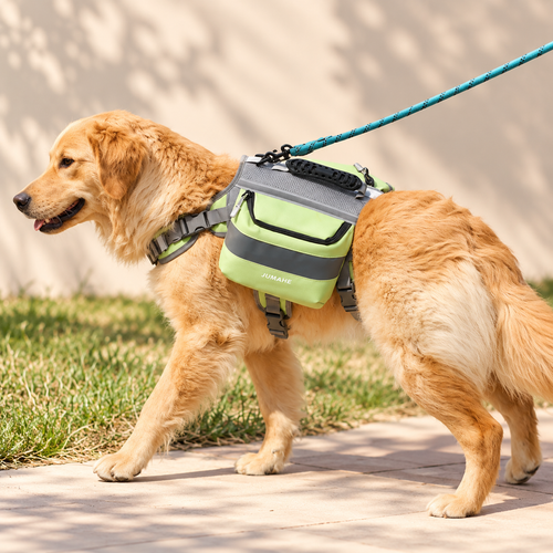 Adventure Saddle Bag Harness
